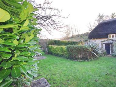 Little Ivy WEST LULWORTH