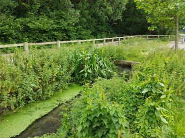 Streamside Apartment