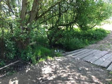 Diablos Luxury Shepherds huts