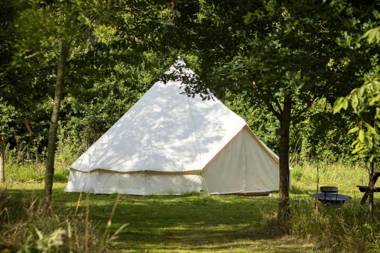 Dorothy Goes Glamping