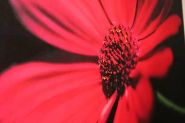 Premier Lodge Central