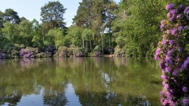 California Chalet & Touring Park