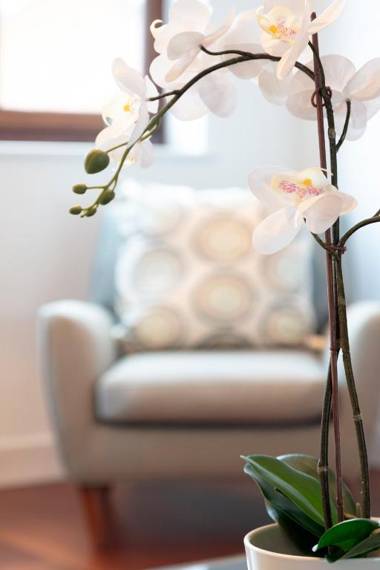 Hampden Apartments - The Henry