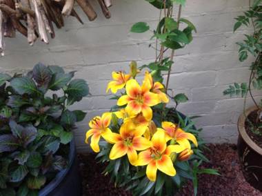 Heathfield Bed and Breakfast