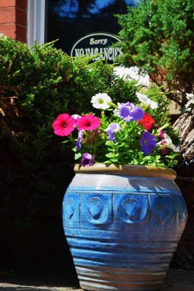 Heathfield Bed and Breakfast