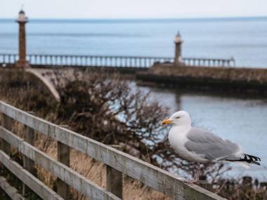Olton Hall Engine Shed