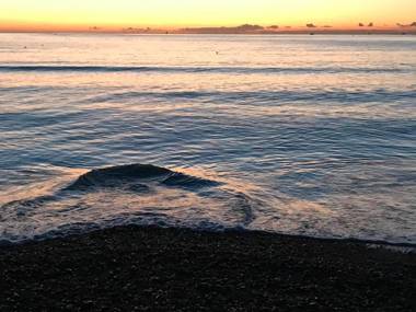 Whitecliff Guest House