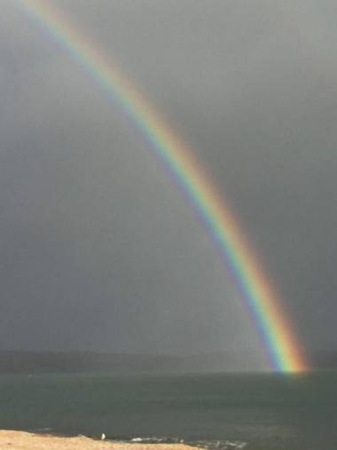 Whitecliff Guest House