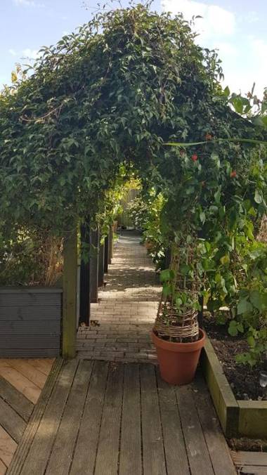 Birch House Bed & Breakfast