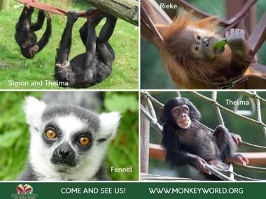 Barley Mews Weymouth