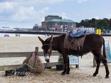 Marina Vista Weymouth