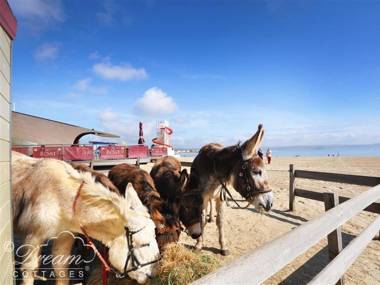 Harbour Watch Apartment 6 Weymouth