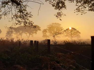 Argyll House Bed and Breakfast