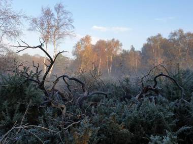 Argyll House Bed and Breakfast