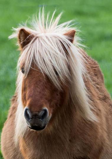 The Moorhead Bed & Breakfast