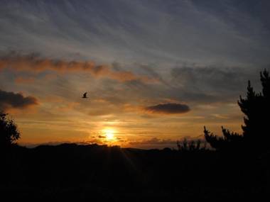 65 Foxdown Manor Wadebridge