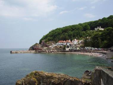 Babbacombe Palms