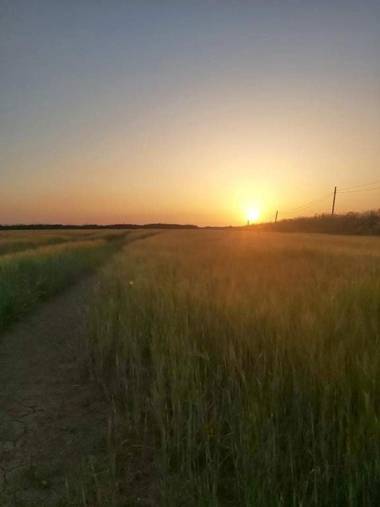 Tregantle Farm Eco glampsite costal boutique retre