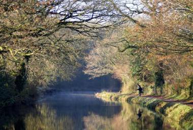 Brambles Bed and Breakfast
