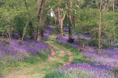Fox & Hounds Country Hotel