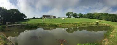 Fernside Bed and Breakfast