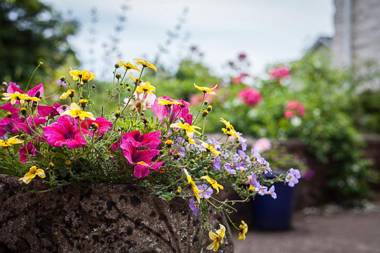 Stoodleigh Court Coach House