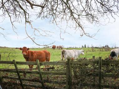 Manor Farm House Cottage Kettering