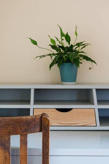 Lovely Cosy Stone Cottage in Tetbury Cotswolds