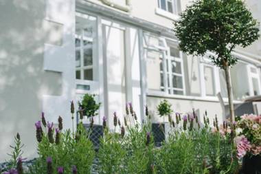 Apple Tree Bed and Breakfast