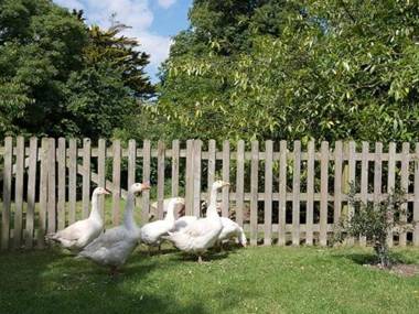 Farthings Country House Hotel & Restaurant Tunton