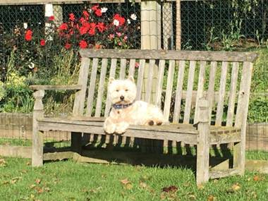 Hill House Farm Cheshire