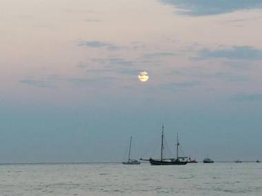 Beachcomber Holiday Apartments