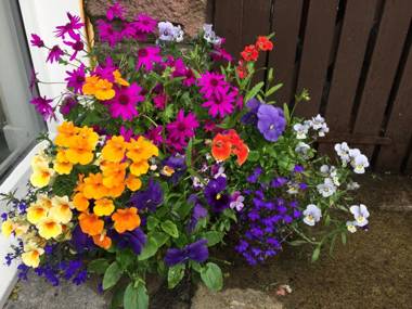 Castlecroft Bed and Breakfast