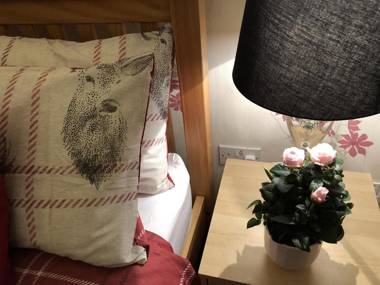 Castle Walk Bed & Breakfast