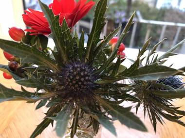 Castle Walk Bed & Breakfast