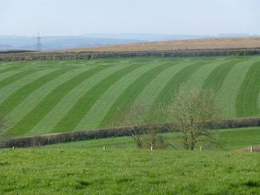 East Trayne Holiday Cottages