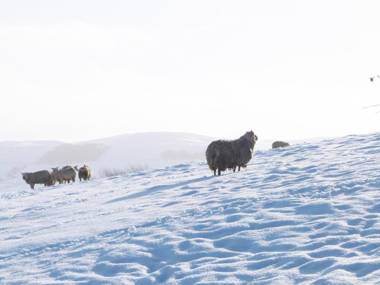 Orchard Cottage Keighley