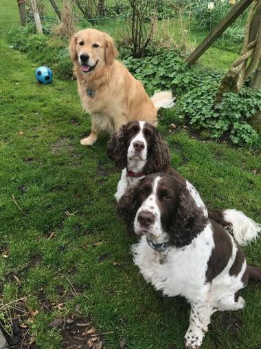 The Old Stables Bed & Breakfast