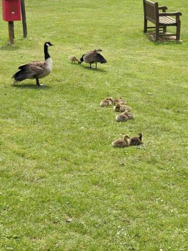 Superior 6 berth holiday home in Suffolk