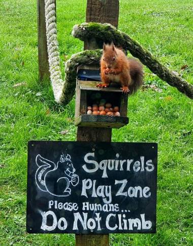 Chalet 177 Sandown Bay Holiday Centre