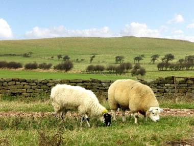Street House Farm Cottage Saltburn-by-the-Sea