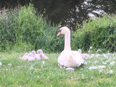 River Ground Floor Apartment - 70 Skipper Way