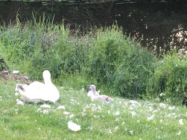 River Ground Floor Apartment - 70 Skipper Way