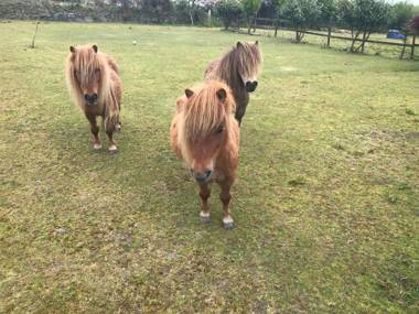 Verde Limone -The Studio and Bay View Cottage