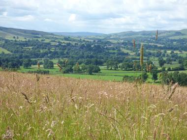 The Stable Sedbury Park Farm