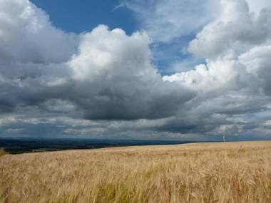 Stunning Yew Tree Cottage