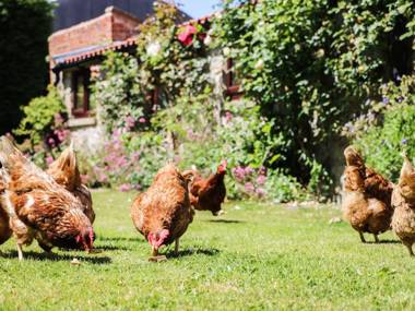 The Old Hayloft York