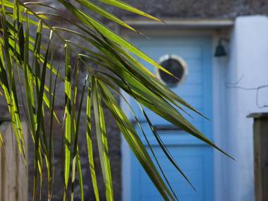 Number One - Nanjivey Row