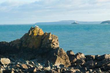 Waves Apartment St Ives