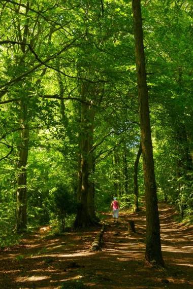 Croft House Guest Suite Painswick